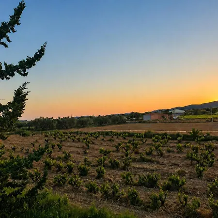 Les Oliveres